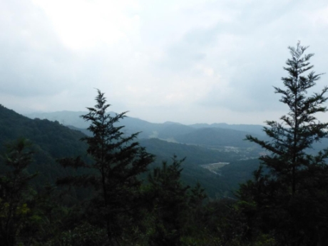 画像36
